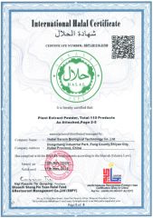 International HALALCertificate certificate of Hubei Sanxin Pharmaceutical Technology Co., Ltd. – certificate photo, supplier certificates section
