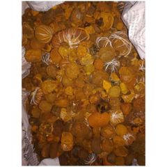 Cheap Cow Gall Stones / Ox Gallstones for sale. - Image 5