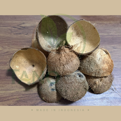 Halved Cut Coconut Shell - Image 1