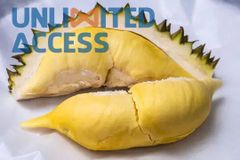HIGH QUALITY FRESH DURIAN from VIETNAM Grade aaa Style Fresh Type DURIAN Weight (kg) 3 Address Viet Nam Shelf Life 7 - Image 6
