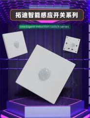 220V PIR Motion Sensor Wall Switch Lamps Home Decor Luxury Control LED Ceiling Fans Light Sensor Switch for Corridor Lighting - Image 4