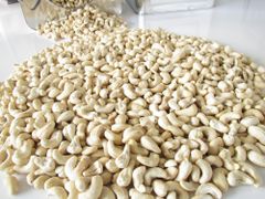 Vietnam Cashew WW180, WW240, WW320, WW450  – product photo 2, product detail gallery