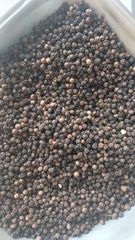 Sinhal Black Pepper Whole, Premium | India | Piper nigrum | king of spices | – product photo 5, product detail gallery