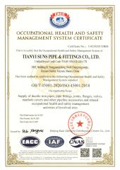 ISO45001 certificate from TIANYI SUNS PIPE & FITTINGS CO., LTD.