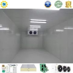 Customizable Freezer Cold Room with 75mm Panel Thickness and Storage - Image 3