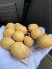 Premium Product Natural Sweet Thailand Fresh Longan Fruit Grade AA Shape Round Style Fresh Type LONGAN Weight (kg) 0.5 Color Brown - Image 5