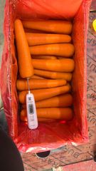 Fresh carrot - Image 2