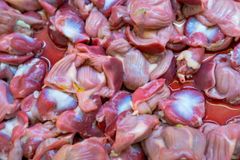 Frozen Halal Chicken Gizzards – Cleaned, Bulk Packed, Grade A, Halal Certified - Image 5