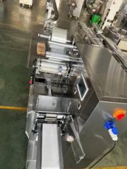 Pillow Type Glove Flow Packing Machine - Image 4