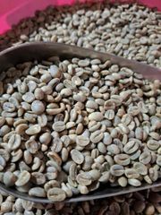 Arabica Green Coffee Bean - Origin Java, Indonesia, PT Harvest Nusa Trading, Lets Connect - Image 1