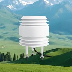 Intelligent Nh3 Meter with 0-100ppm Range for Enhanced Accuracy - Hunan Rika Electronic Tech Co., Ltd.