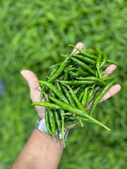 G4 Green Chilli – product photo 2, product detail gallery