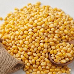 Brazilian Yellow Maize/Corn - Image 1