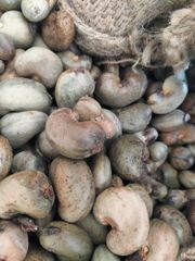 Raw Cashew Nuts – product photo 1, product detail gallery