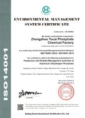 Environmental Management System Certification certificate from HENAN YULIN CHEMICAL CO., LTD.