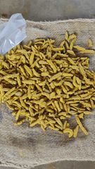 Premium Indian Turmeric Fingers (Nizamabad & Selam) | Whole Dried | High Curcumin | Double Polished | Bulk Export Quality - Image 2