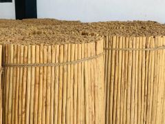 True Ceylon Cinnamon 100% Organic Sri Lanka Cinnamon – product photo 1, product detail gallery