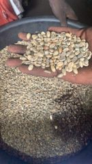 100% Arabica coffee bean – product photo 1, product detail gallery