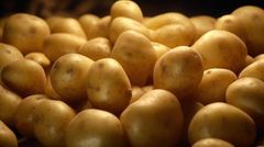 fresh potato - Image 3