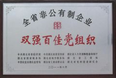 Double Strong and Top 100 Party Organizations certificate of Hubei Luke Special Automobile Co., Ltd. – certificate photo, supplier certificates section