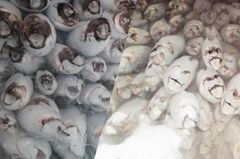 Product thumbnail 15