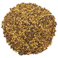 Certified Alfalfa Seed for Bulk Sale – High Yield, Nutrient Rich, Non-GMO Seed for Forage Production, Cover Crops, Sprouting, and Commercial Farming - Image 2