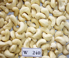 [Fresh/Roasted] CASHEW NUT (With/Without) Shells WITH HIGH QUALITY AND BEST PRICE - Image 5