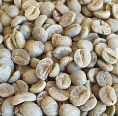 Brazilian Arabica Green Coffee Beans – FC Santos, 17/18 Screen – product photo 2, product detail gallery