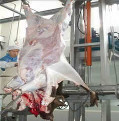 Frozen meat - Image 2