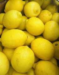 Fresh South African Lemons Premium Quality Organic Yes Flavor Fresh Shelf Life Long Origin South Africa Packaging 15 Kg Packed Boxes - Image 4