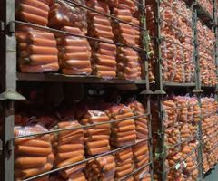 carrot Grade AAA Type Fresh Shelf Life 35 days Packaging Details carton Packaging 3.7/4/6/10/20KG Storage Type - Image 2