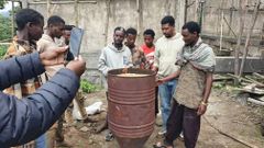 Biochar for Soil Amendment and Construction Applications - Image 1