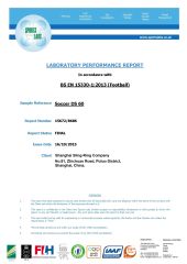 EN certificate from Shanghai Sling-Ring Company