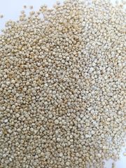Quinoa - Image 1