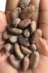 Cocoa Beans – product photo 1, product detail gallery