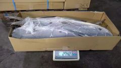 High Quality Frozen Fish Mahi Mahi From Japan MOQ 1*40FCL Style Whole Processing BQF Feature Nature HS Code 03034300 Trademark - Image 4