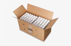 Chicken Eggs - Image 1