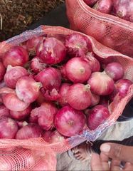Fresh Onion – product photo 1, product detail gallery