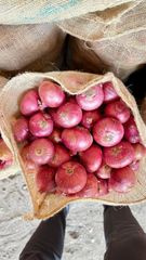 Onion Packaging 10 Color Red And Yellow Shelf Life Long-lasting Quality Standard Export Quality Harvest Maturity At Peak Maturity - Image 1