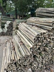 Bamboo splits – product photo 3, product detail gallery