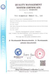 ISO9001 certificate from Hocon Biotechnology Co., Ltd