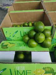 Vietnam Seedless Lime – Fresh Export Quality | Bulk Supplier – product photo 4, product detail gallery
