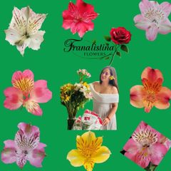 Company – thumbnail 3 of 5, supplier detail gallery