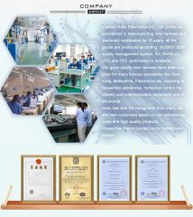 Company Profile certificate of Quzhou Holly Electronic Co., Ltd. – certificate photo, supplier certificates section