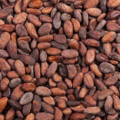 Cocoa Bean – product photo 1, product detail gallery