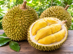 Philippine Durian Products – Fresh Whole Fruit, Frozen Pulp & Various Varieties – product photo 1, product detail gallery
