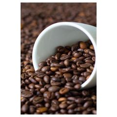New Arrival Robusta Coffee green fresh beans for original Aroma Flavor and Taste Buy Now From India - Image 5