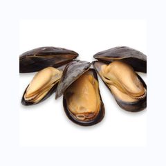 Seafood Importers Mussels In Shellfish Import Export Frozen Seafood High Quality Frozen Half Shell Mussel Frozen Shellfish In Se - Image 5
