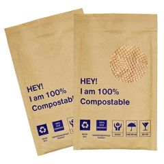 Express Compostable Packaging Courier Shipping Envelope Plastic Mailing Bag - Image 1