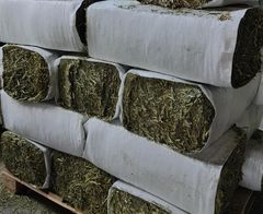 Suppliers High Quality Alfafa Hay for Animal Feeding Stuff Alfalfa / Timothy / Alfalfa Hay for Sale - Image 5
